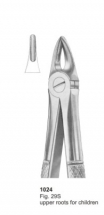  Fig. 29S upper roots for children 
